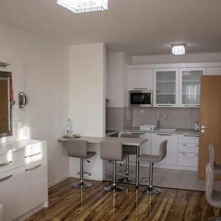 Apartment Tp Spacious Stylish Free Parking Szeged