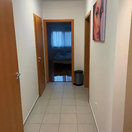 Tp Spacious Stylish Free Parking Apartment Szeged